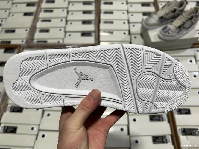 4 Retro 819139-030  Jordan Snakeskin   0301